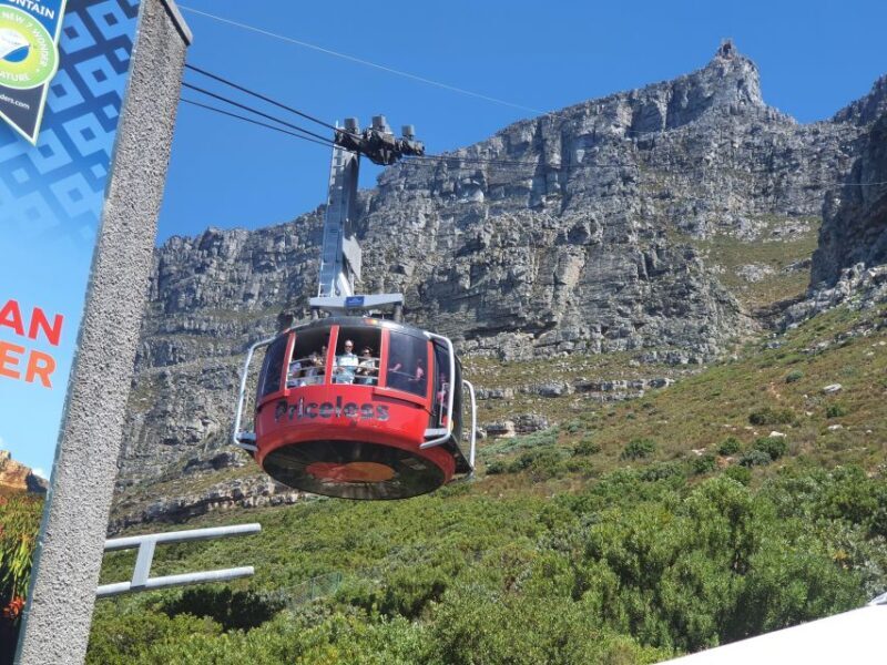 Table Mountain, Penguins & Cape of Good Hope Private Tour - The Itinerary and What You Can Expect