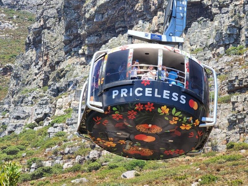 Table Mountain, Penguins & Cape of Good Hope Private Tour - FAQ
