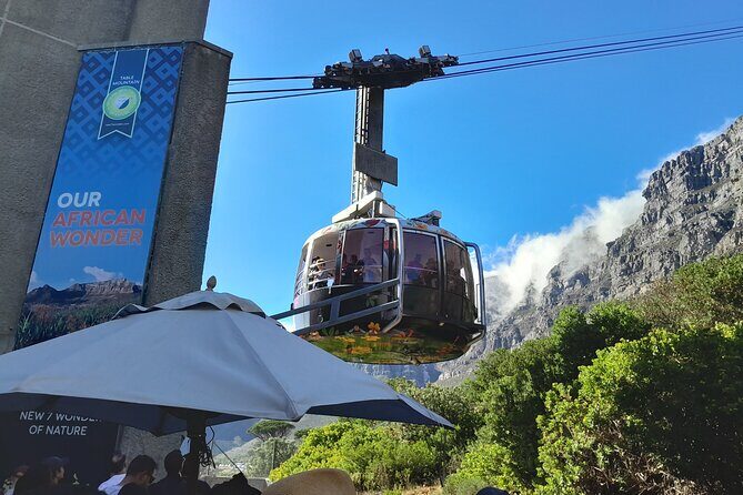 Table Mountain, Penguins, Cape of Good Hope: Private Tour - Exploring Cape Town’s Iconic Highlights with a Private Touch