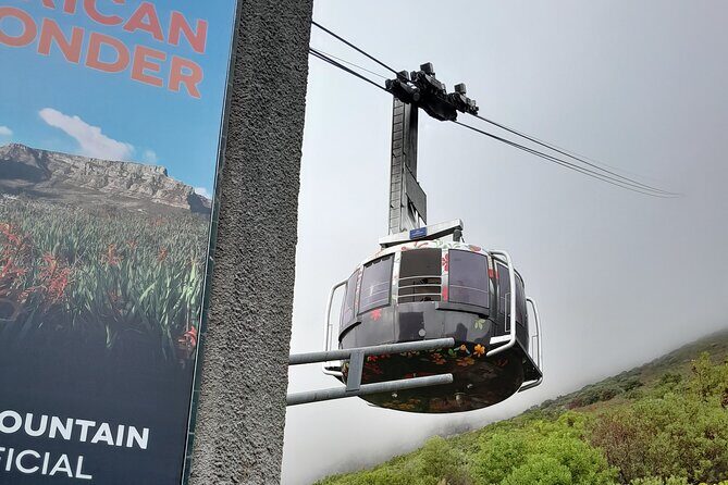 Table Mountain, Penguins, Cape of Good Hope: Private Tour - Who Is This Tour Best For?