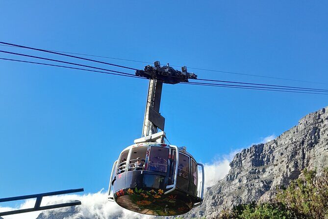 Table Mountain, Penguins, Cape of Good Hope: Private Tour - Final Thoughts