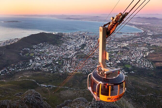 Table Mountain, Penguins & Cape of Good Hope Small Group Tour - Key Points