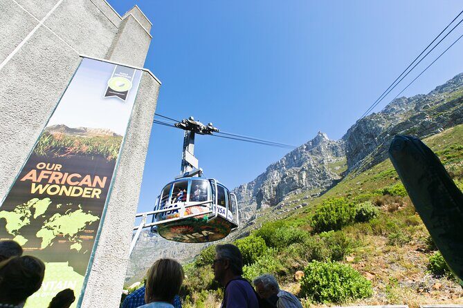 Table Mountain, Penguins & Cape Point Small Group Tour Cape Town - What’s the Real Value?
