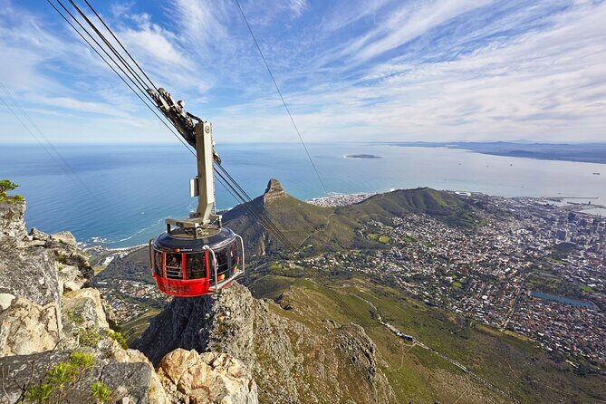 Table Mountain, Penguins Colony and Cape of Good Hope Small Group Shared Tour - A Complete Guide to the Tour Experience