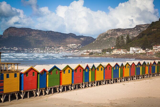 Table Mountain, Penguins Colony and Cape of Good Hope Small Group Shared Tour - Final Thoughts