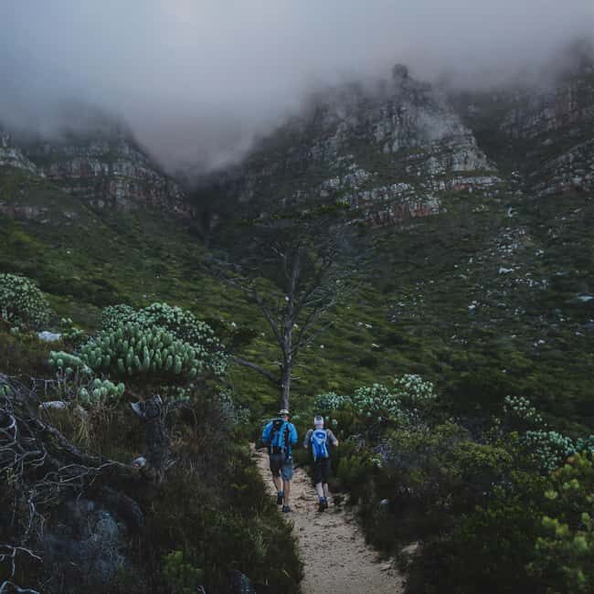 Table Mountain: Skeleton Gorge Hike - Key Points