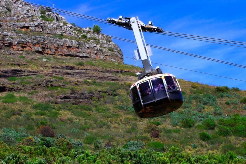 Table Mountain to Cape of Good Hope Penguin Private Tour - Key Points
