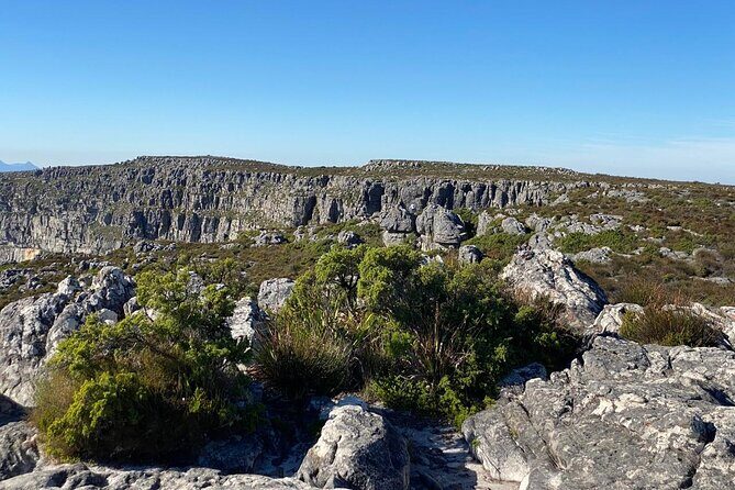 Table Mountain Tour including Pick Up & Drop Off from Cape Town - Practical Tips for Your Tour