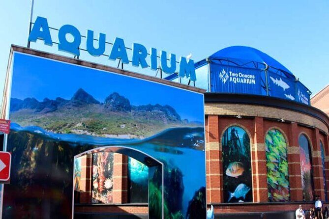 Table Mountain: Vibrant Colorful Houses Along the Path" - Why This Tour Is a Great Choice  