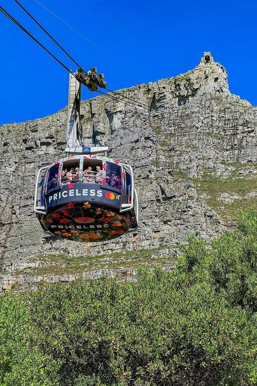 Table Mountain & Wine tasting in FranschHoek, StellenBosch - Introduction: What to Expect from This Exciting Day Trip