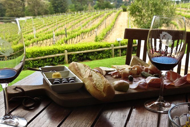 Table Mountain-Wines-Penguins-Cape Point All Inclusive Group Tour - Who Is This Tour Best For?