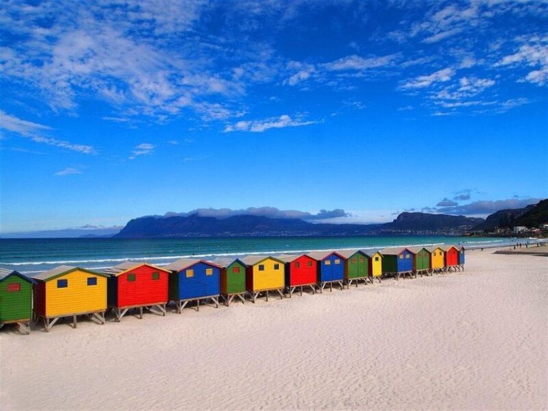 Table Mountain,Seals,Penguin,Cape of good hope,Bokaap , - Who Will Love This Tour?