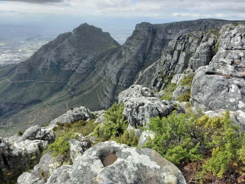 Table Moutain & Cape Peninsula: Full-day Tour - The Sum Up