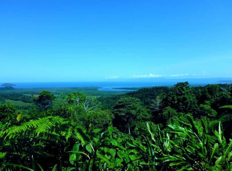Tablelands Sights & Daintree Rainforest - Practical Aspects and Inclusions