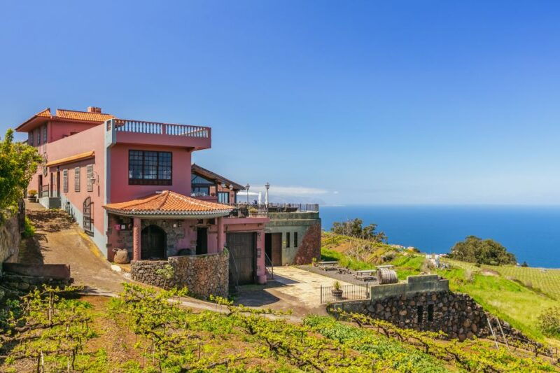 tacoronte-guided-winery-tour-with-wine-and-cheese-tastings