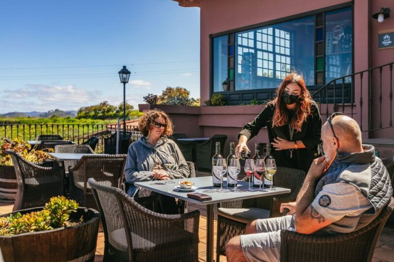 tacoronte-guided-winery-tour-with-wine-and-cheese-tastings