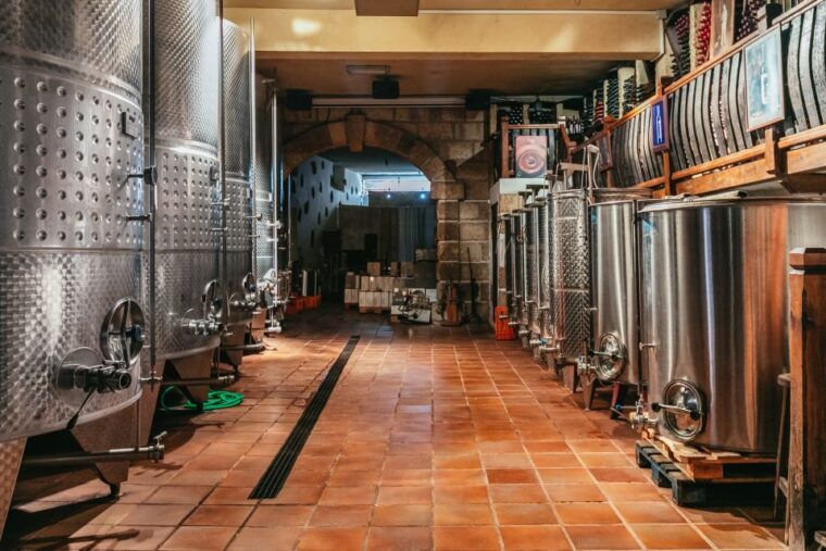 tacoronte-guided-winery-tour-with-wine-and-cheese-tastings