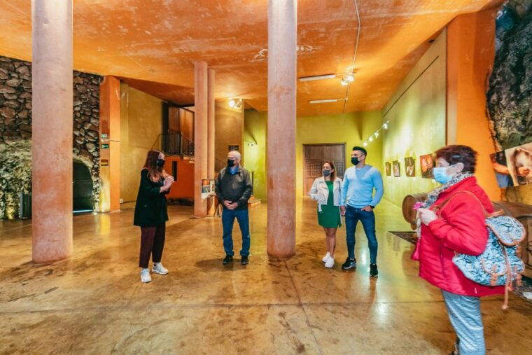 tacoronte-guided-winery-tour-with-wine-and-cheese-tastings