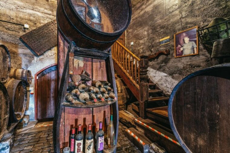 tacoronte-guided-winery-tour-with-wine-and-cheese-tastings