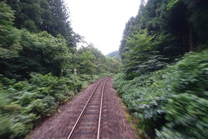 tadami-line-tour-and-private-boat-night-tour-of-mugenkyo-ravine