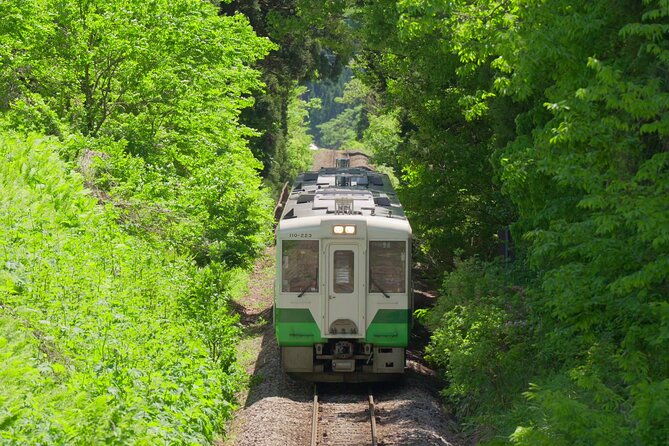 tadami-line-tour-and-private-boat-night-tour-of-mugenkyo-ravine