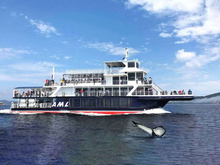 tadoussac-charlevoix-whale-watching-tour-bear-observation