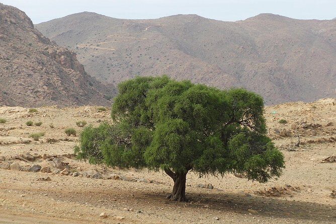 Tafraout and Tiznit Guided Day Tour from Agadir - The Sum Up