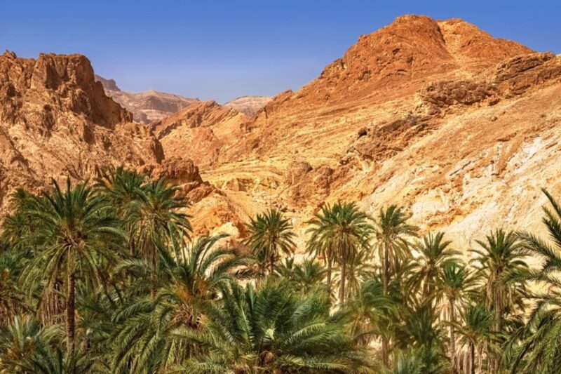 Taghazout: Paradise Valley and Sand Dunes Guided Tour - Who Should Consider This Tour?