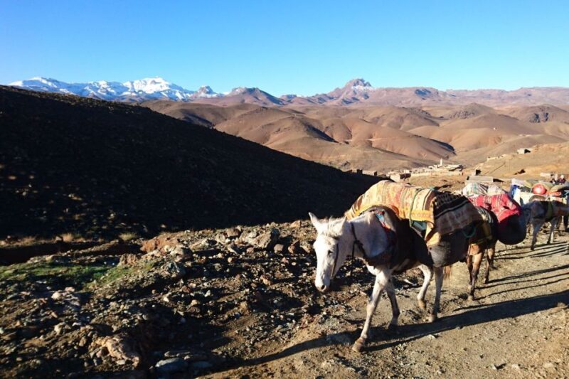 Taghazout: Paradise Valley and Sand Dunes Guided Tour - Final Thoughts