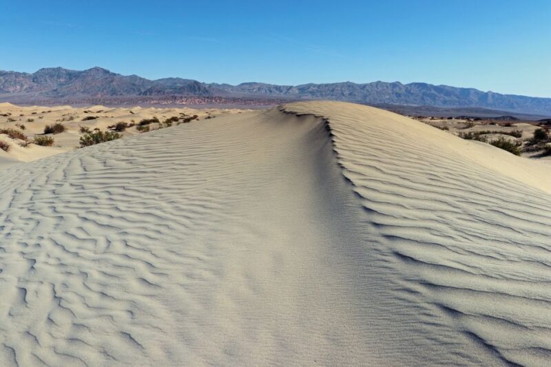 Taghazout: Sand Dunes Experience Guided Tour with Lunch - Key Points