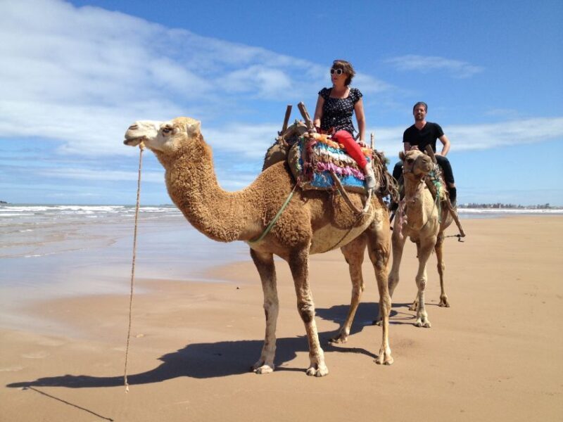 Taghazout Sunset Camel Ride - Practical Tips for Your Ride
