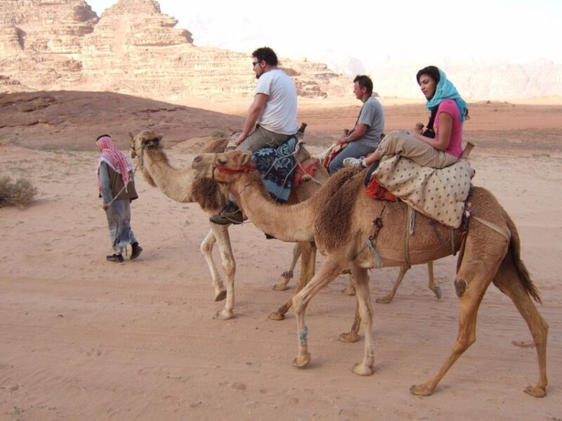 Taghazout Sunset Camel Ride - Who Will Love This Tour?