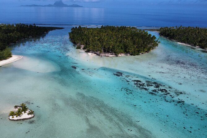 Tahaa Excursion in Electric Paddle Snorkeling Coral Garden - Why You’ll Love This Tahaa Excursion