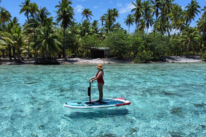 Tahaa Excursion in Electric Paddle Snorkeling Coral Garden - Practical Tips for Travelers
