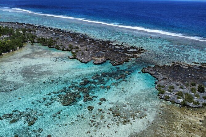Tahaa Excursion in Electric Paddle Snorkeling Coral Garden - Authentic Reviews: What Travelers Say