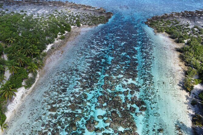Tahaa Excursion in Electric Paddle Snorkeling Coral Garden - The Sum Up: Is This Tour Right for You?