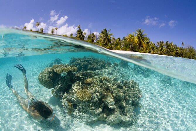 Tahaa Lagoon Tour -Departure Raiatea-Small groups (max 12 p) - Pricing and Value