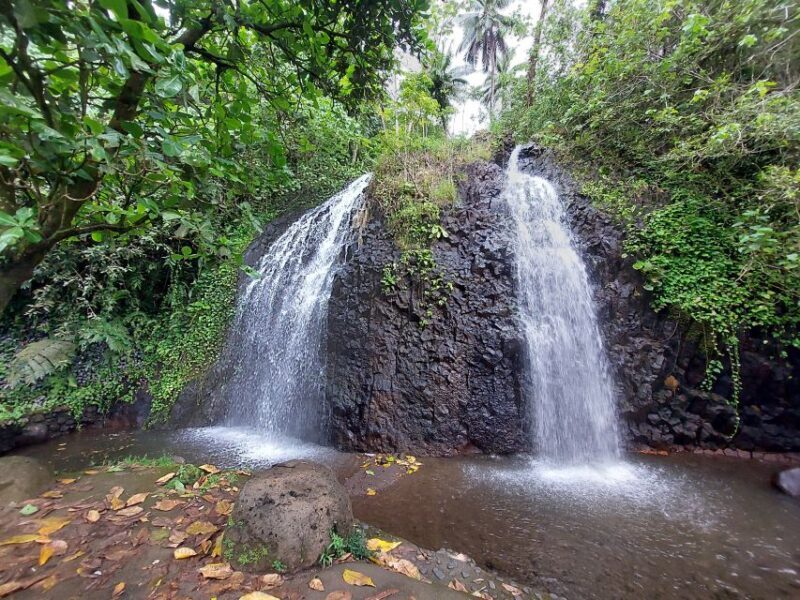 Tahiti Classical Coastal Full Day Private Tour - A Journey Through Tahitis Natural and Cultural Marvels