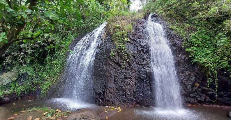 Tahiti Classical Coastal Full Day Private Tour - Why This Tour Offers Great Value