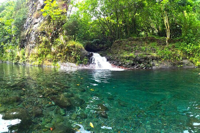 Tahiti excursion adventure circuit MTB MTB E-Bike private valley - Who Will Love This Tour?