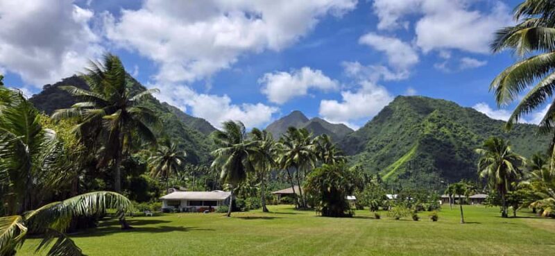 Tahiti Half Day Small Group Circle Tour - Waterfalls & Caves - Who is This Tour Best For?