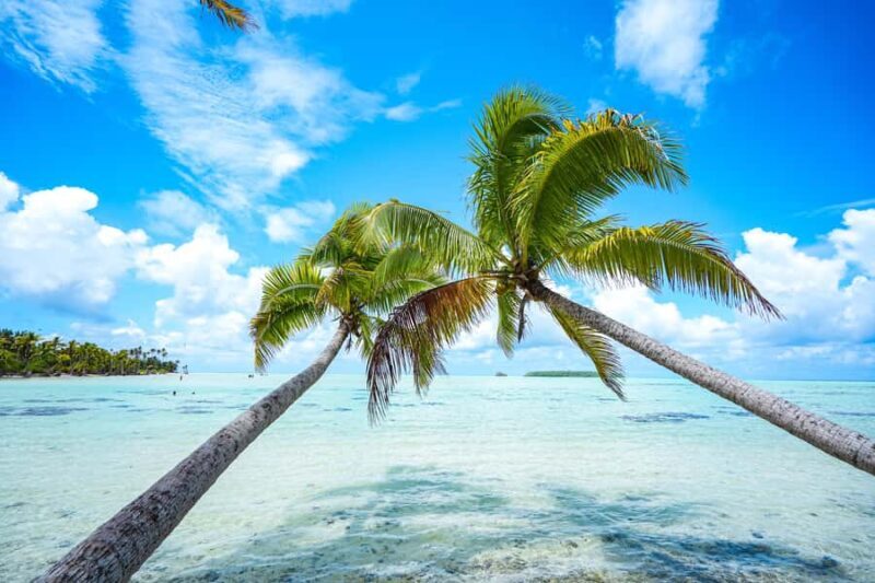 Tahiti Lagoon: 4-hour snorkeling to discover the secrets of the lagoon - Exploring Tahiti’s Lagoon: What to Expect