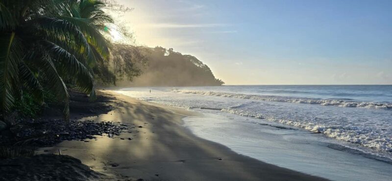 Tahiti: Northeast Coast Waterfalls&Viewpoints Half Day Tour - A Closer Look at the Itinerary and What to Expect