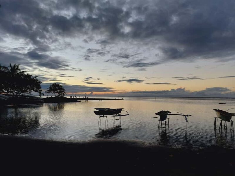 Tahiti: Northeast Coast Waterfalls&Viewpoints Half Day Tour - Who Is This Tour Best For?