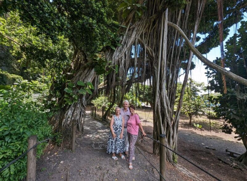 Tahiti Private Half Day Tour. Nature, history and culture - Introduction: Why This Tour Stands Out
