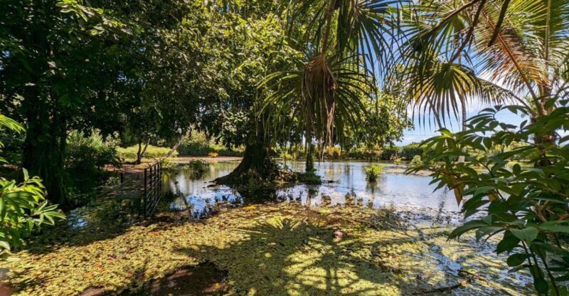 Tahiti Private Half Day Tour. Nature, history and culture - Transportation & Comfort