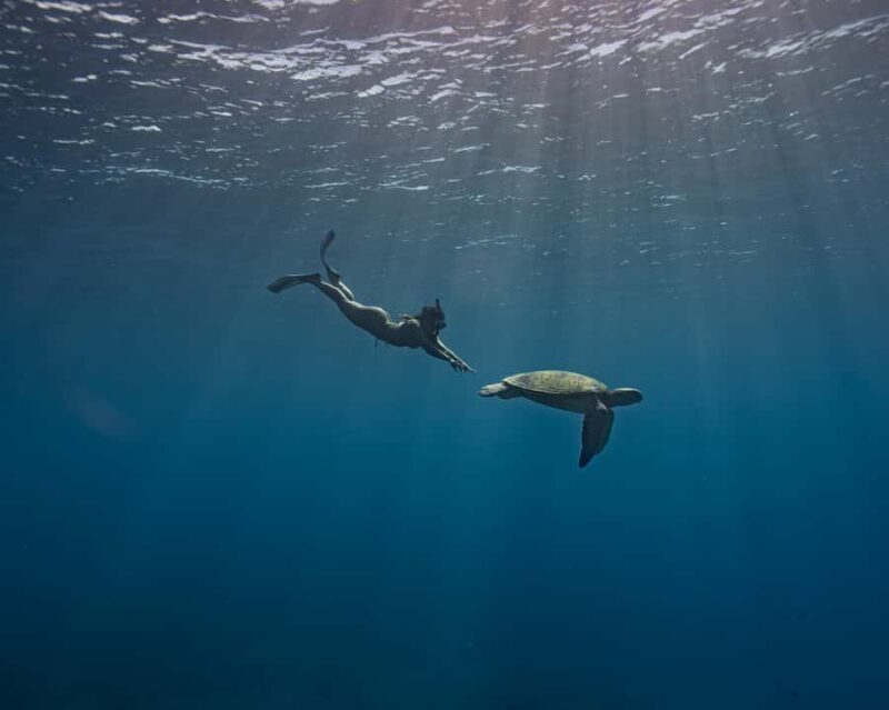 Tahiti underwater photo experience - Key Points