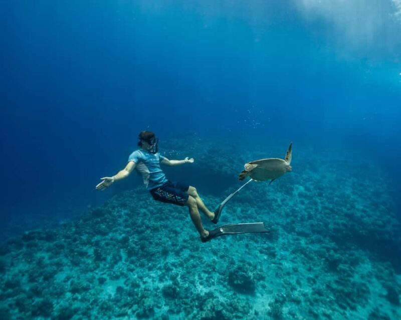 Tahiti underwater photo experience - The Setting and Marine Encounters