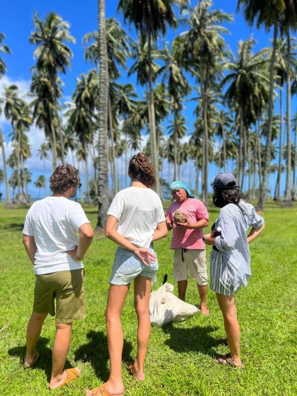 Tahiti: Unique West Coast Half Day Tour with Local Guide - The Value Proposition