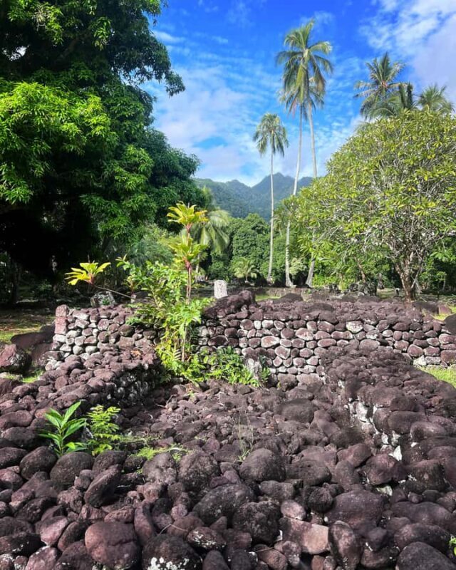 Tahiti: Unique West Coast Half Day Tour with Local Guide - Who Will Love This Tour?